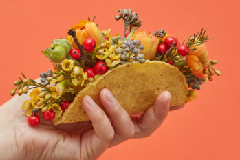 Woman holding taco with flowers and berries on orange background with copy space